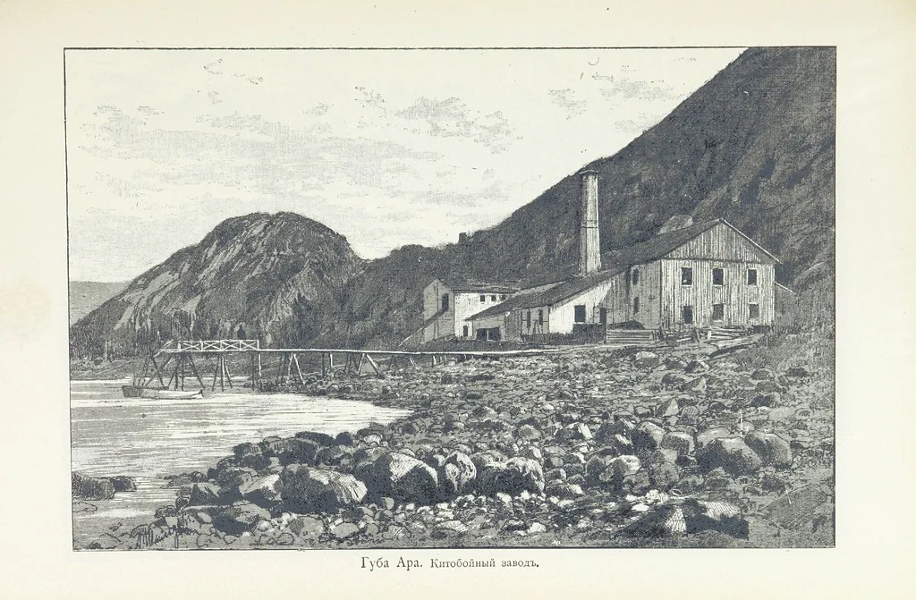 An illustration from По Сѣверо-Западу Россіи. [With illustrations and maps, 1897, leaf 319