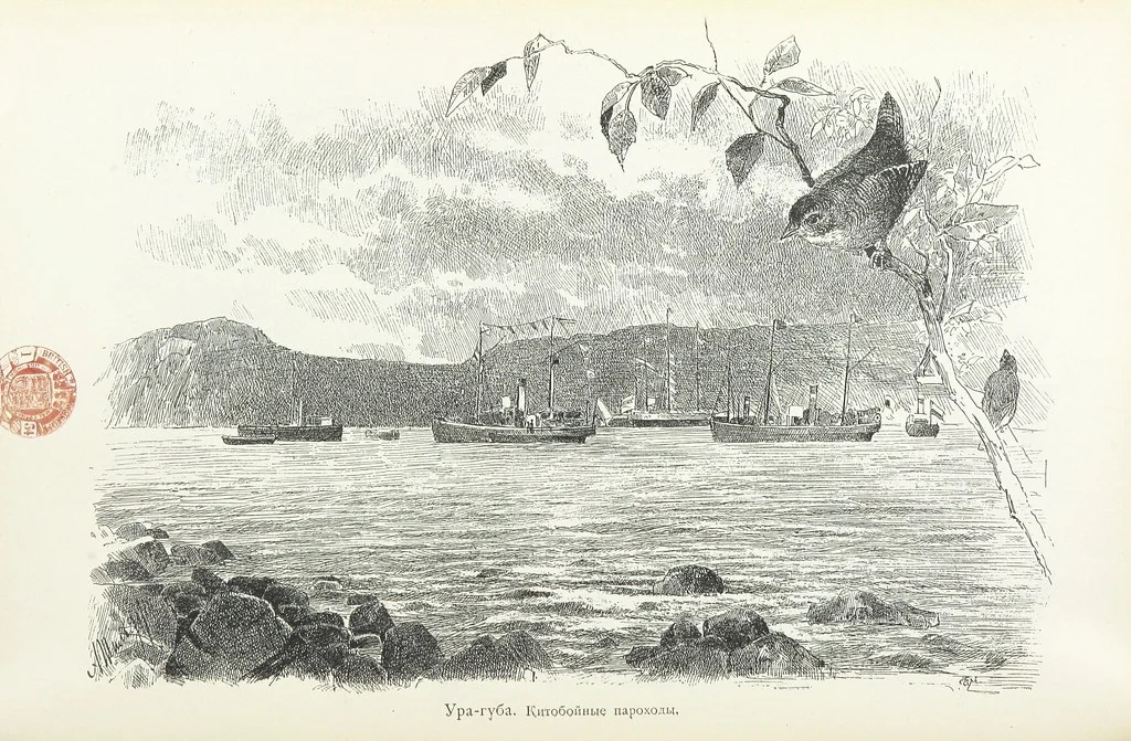 An illustration from По Сѣверо-Западу Россіи. [With illustrations and maps, 1897, leaf 332