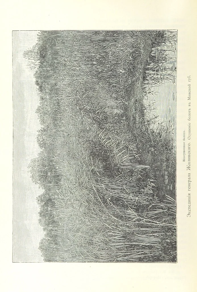 An illustration from По Сѣверо-Западу Россіи. [With illustrations and maps, 1897, leaf 504