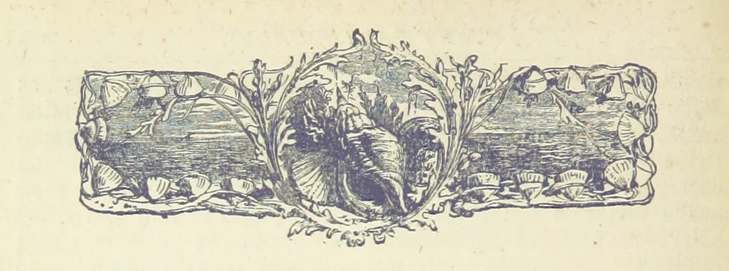 An illustration from A Hundred Wonders of the world in nature and art. Described according to the latest authorities and profusely illustrated. Edited by J. Small, 1876, leaf 112
