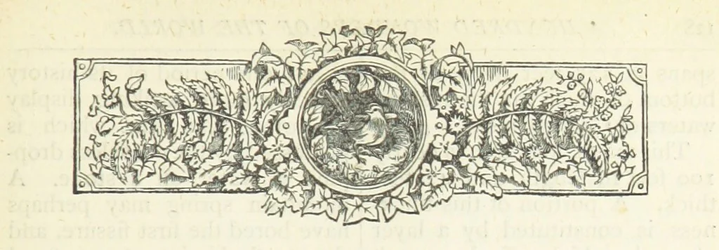 An illustration from A Hundred Wonders of the world in nature and art. Described according to the latest authorities and profusely illustrated. Edited by J. Small, 1876, leaf 135