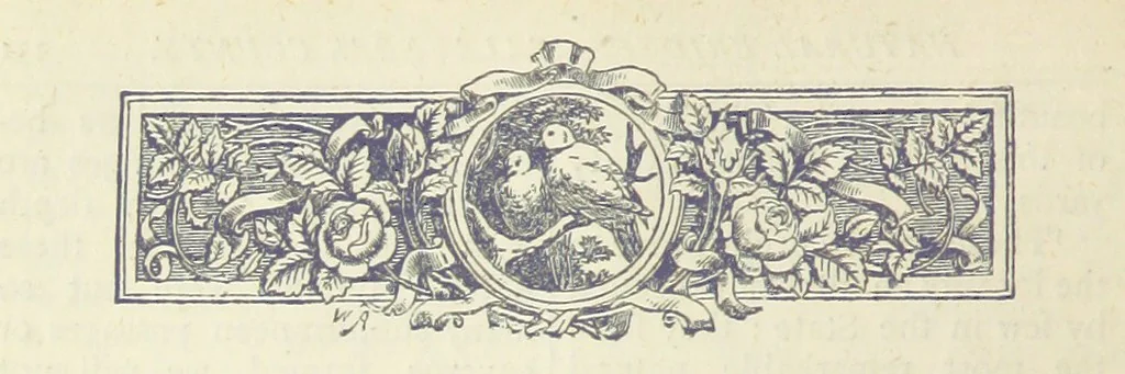 An illustration from A Hundred Wonders of the world in nature and art. Described according to the latest authorities and profusely illustrated. Edited by J. Small, 1876, leaf 140
