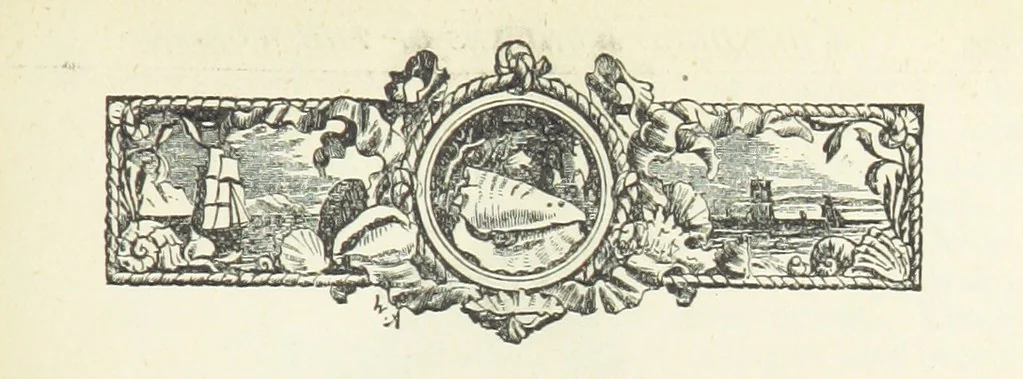 An illustration from A Hundred Wonders of the world in nature and art. Described according to the latest authorities and profusely illustrated. Edited by J. Small, 1876, leaf 151