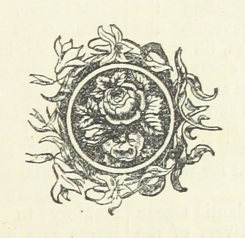 An illustration from A Hundred Wonders of the world in nature and art. Described according to the latest authorities and profusely illustrated. Edited by J. Small, 1876, leaf 169