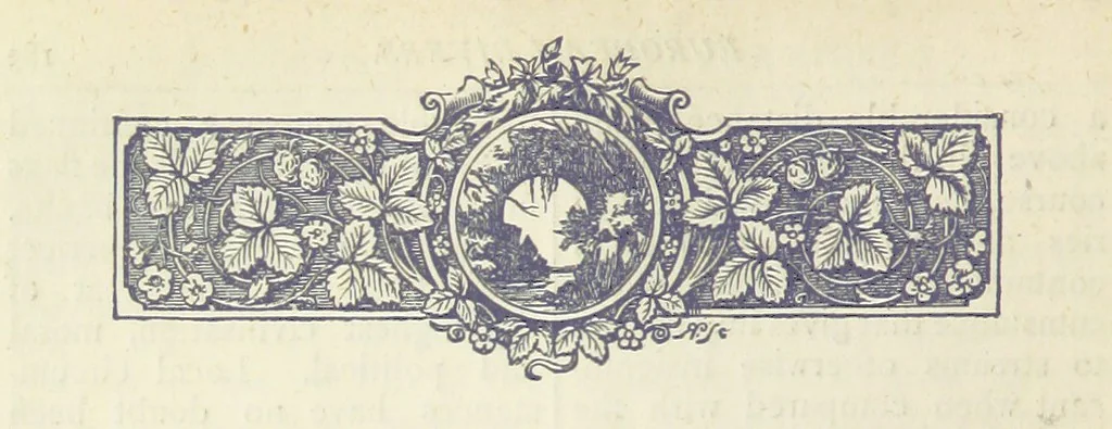 An illustration from A Hundred Wonders of the world in nature and art. Described according to the latest authorities and profusely illustrated. Edited by J. Small, 1876, leaf 192