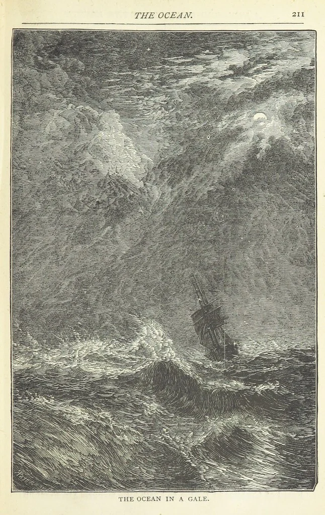 An illustration from A Hundred Wonders of the world in nature and art. Described according to the latest authorities and profusely illustrated. Edited by J. Small, 1876, leaf 219