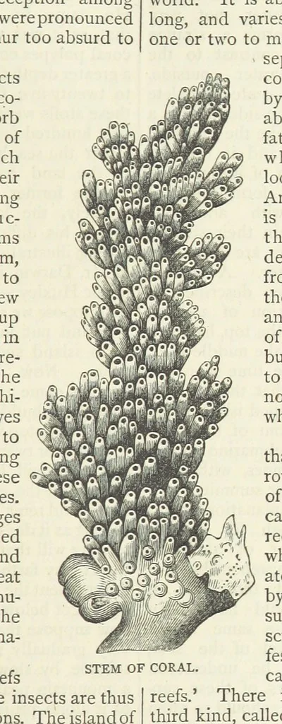 An illustration from A Hundred Wonders of the world in nature and art. Described according to the latest authorities and profusely illustrated. Edited by J. Small, 1876, leaf 235