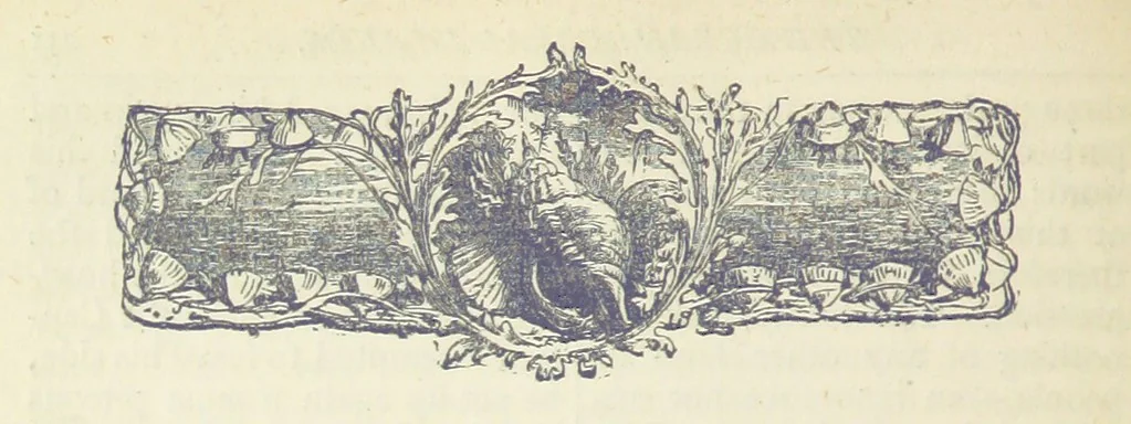 An illustration from A Hundred Wonders of the world in nature and art. Described according to the latest authorities and profusely illustrated. Edited by J. Small, 1876, leaf 240