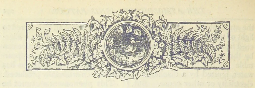 An illustration from A Hundred Wonders of the world in nature and art. Described according to the latest authorities and profusely illustrated. Edited by J. Small, 1876, leaf 280