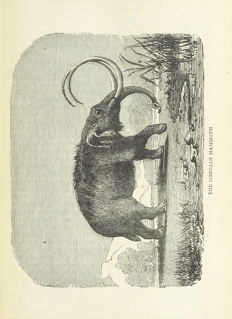 An illustration from A Hundred Wonders of the world in nature and art. Described according to the latest authorities and profusely illustrated. Edited by J. Small, 1876, leaf 289
