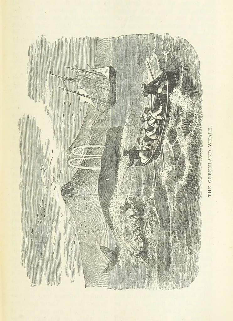 An illustration from A Hundred Wonders of the world in nature and art. Described according to the latest authorities and profusely illustrated. Edited by J. Small, 1876, leaf 313