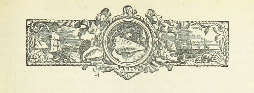 An illustration from A Hundred Wonders of the world in nature and art. Described according to the latest authorities and profusely illustrated. Edited by J. Small, 1876, leaf 319