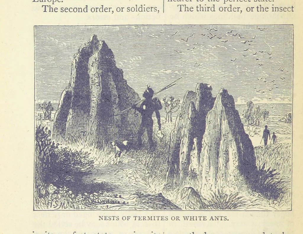 An illustration from A Hundred Wonders of the world in nature and art. Described according to the latest authorities and profusely illustrated. Edited by J. Small, 1876, leaf 332