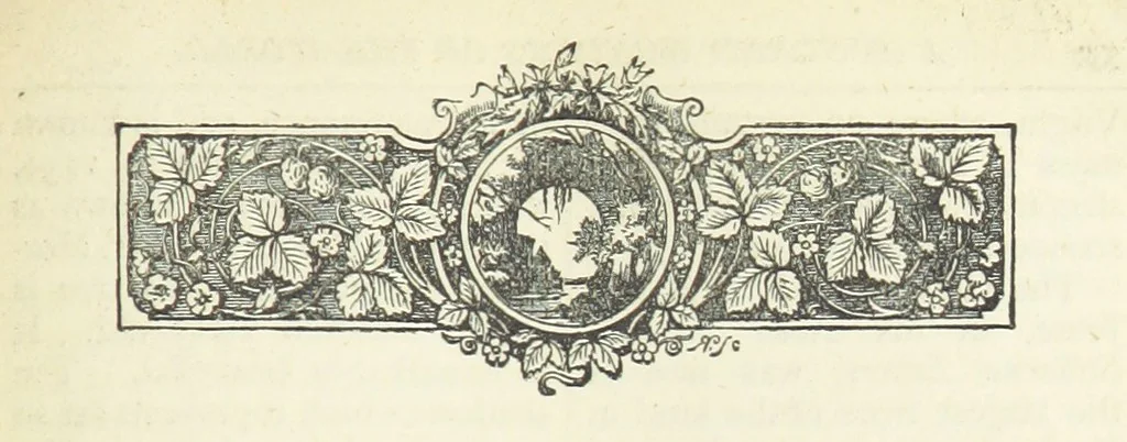 An illustration from A Hundred Wonders of the world in nature and art. Described according to the latest authorities and profusely illustrated. Edited by J. Small, 1876, leaf 337