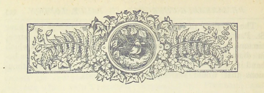 An illustration from A Hundred Wonders of the world in nature and art. Described according to the latest authorities and profusely illustrated. Edited by J. Small, 1876, leaf 452