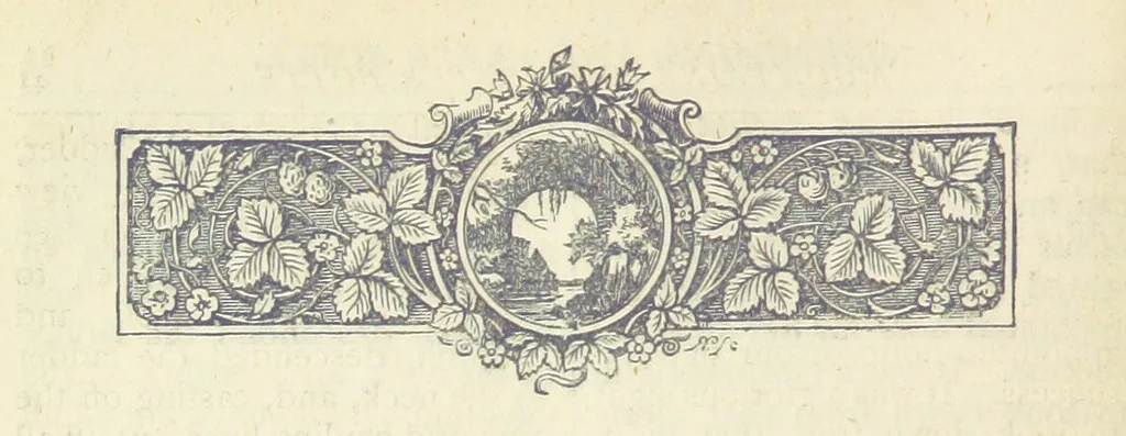 An illustration from A Hundred Wonders of the world in nature and art. Described according to the latest authorities and profusely illustrated. Edited by J. Small, 1876, leaf 50