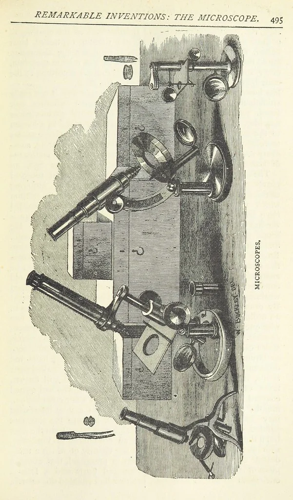 An illustration from A Hundred Wonders of the world in nature and art. Described according to the latest authorities and profusely illustrated. Edited by J. Small, 1876, leaf 503
