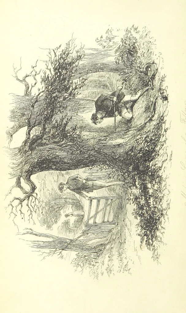 An illustration from Lewis Arundel; or the Railroad of Life ... With illustrations by Phiz [i.e. H. K. Browne, 1852, leaf 284