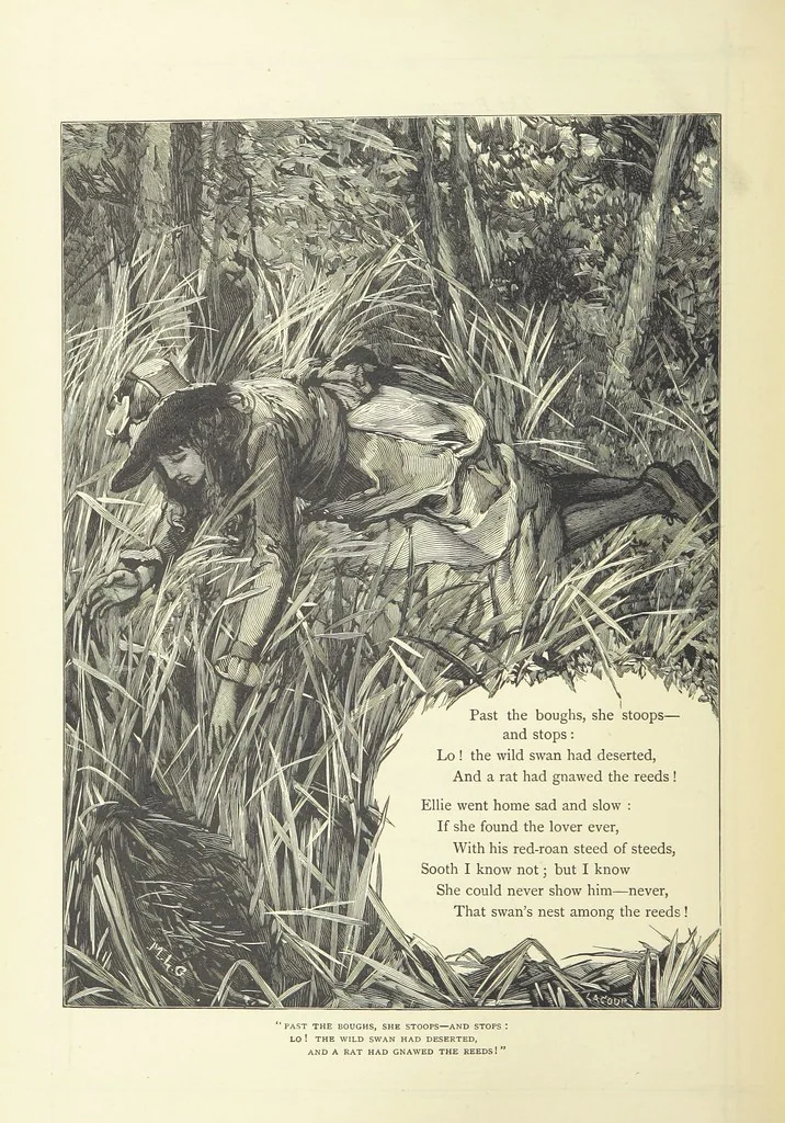 An illustration from Illustrated British Ballads, old and new. Selected and edited by G. B. Smith, 1886, leaf 242