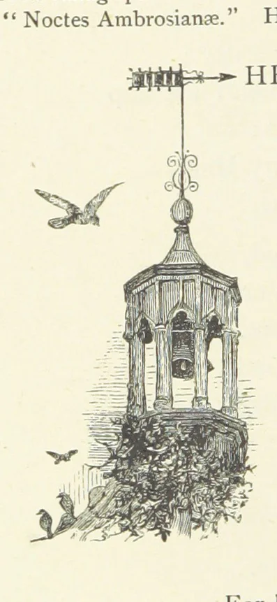 An illustration from Illustrated British Ballads, old and new. Selected and edited by G. B. Smith, 1886, leaf 266