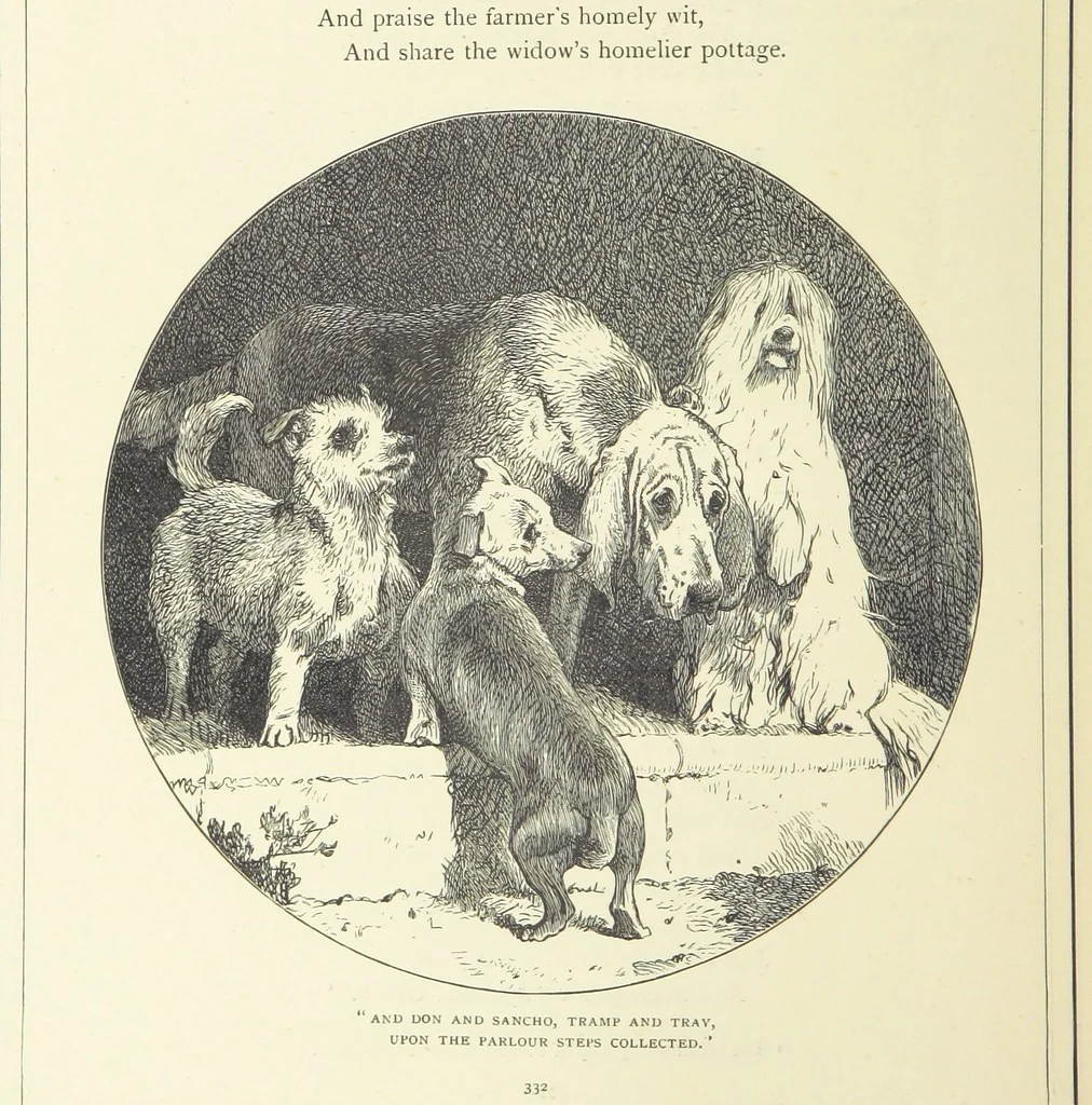 An illustration from Illustrated British Ballads, old and new. Selected and edited by G. B. Smith, 1886, leaf 354