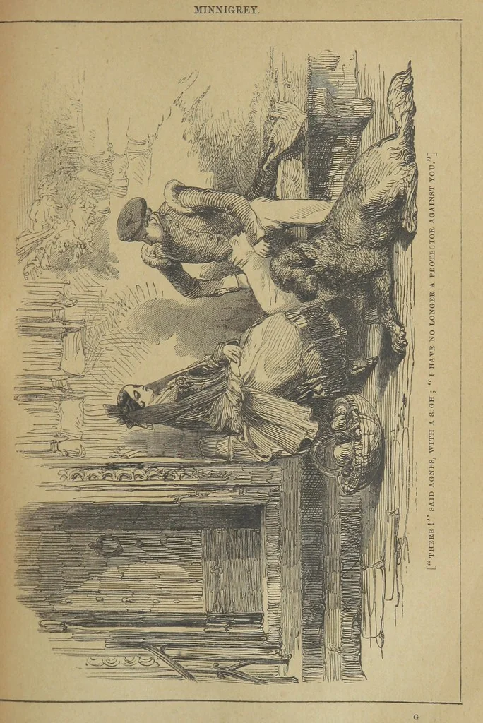 An illustration from Minnigrey. A romance ... Illustrated by Sir John Gilbert, 1897, leaf 105