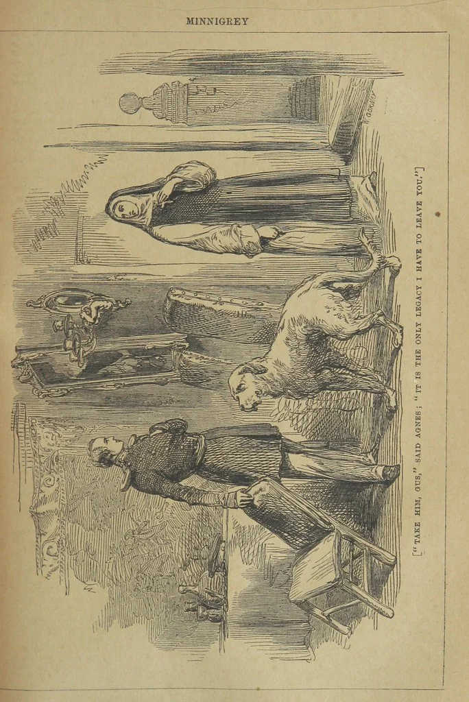 An illustration from Minnigrey. A romance ... Illustrated by Sir John Gilbert, 1897, leaf 209
