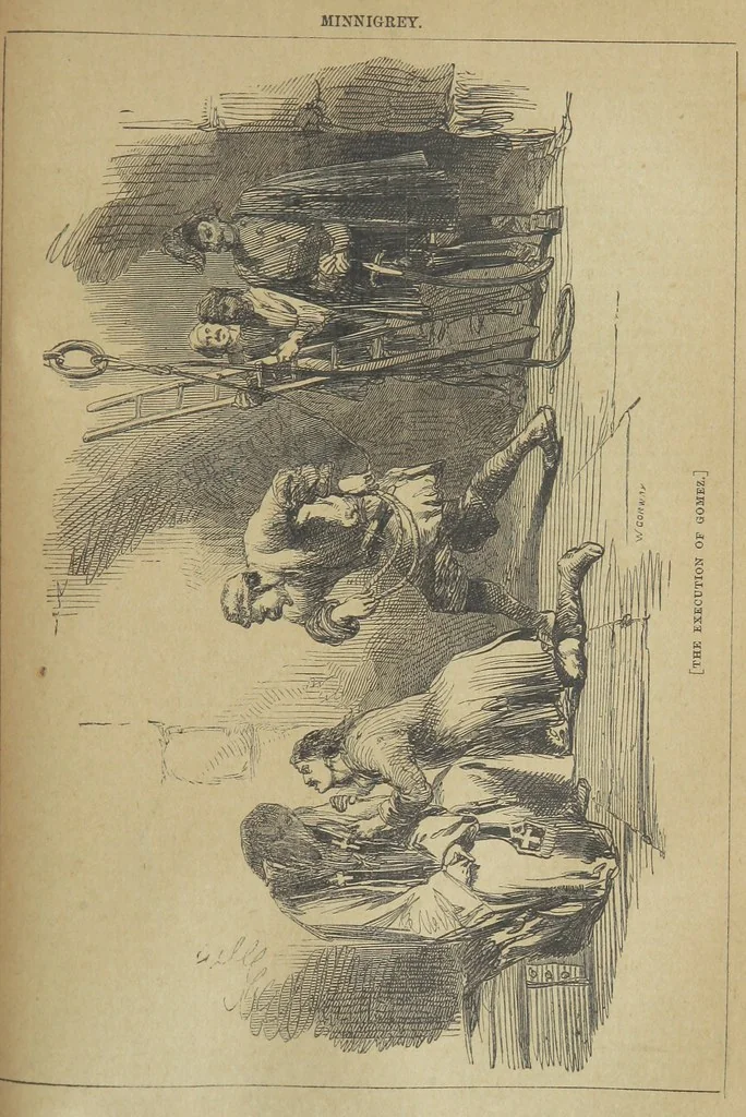 An illustration from Minnigrey. A romance ... Illustrated by Sir John Gilbert, 1897, leaf 225