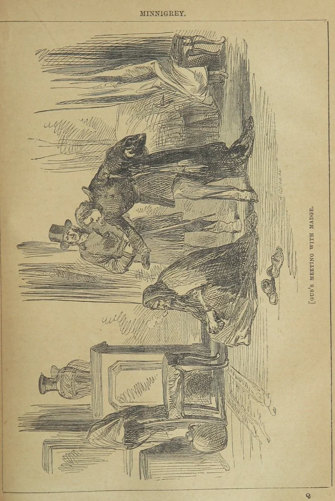 An illustration from Minnigrey. A romance ... Illustrated by Sir John Gilbert, 1897, leaf 249