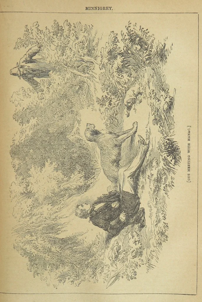 An illustration from Minnigrey. A romance ... Illustrated by Sir John Gilbert, 1897, leaf 257