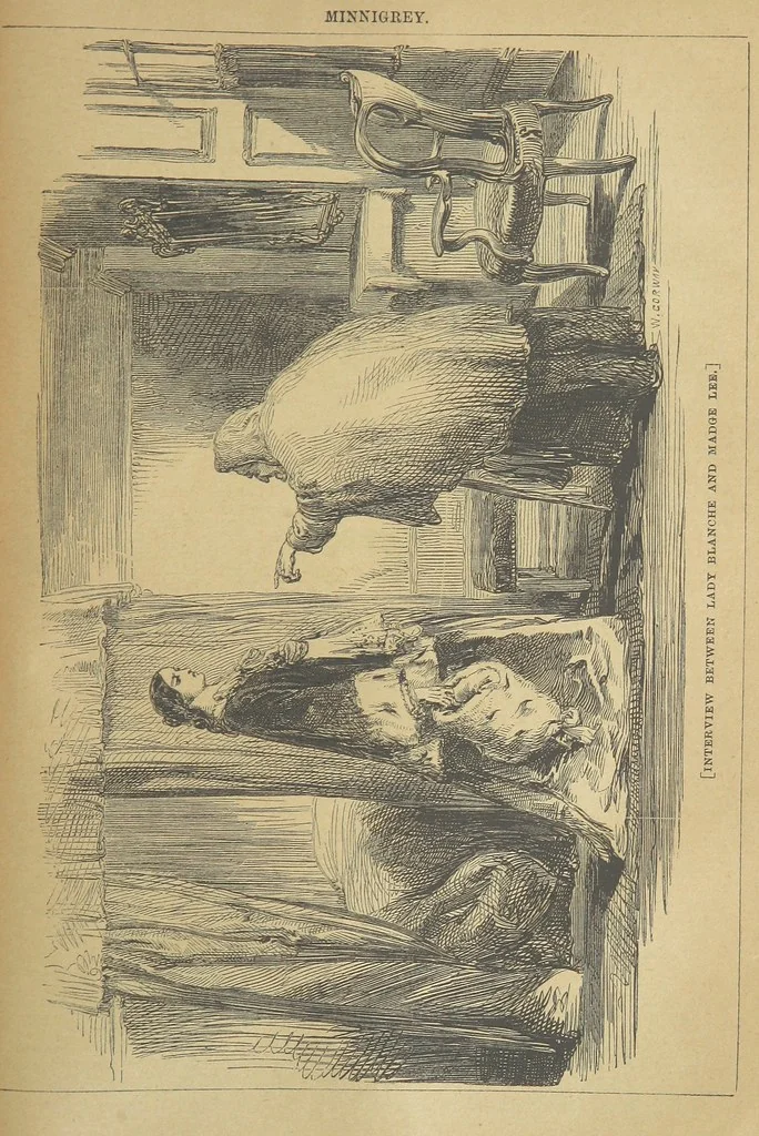 An illustration from Minnigrey. A romance ... Illustrated by Sir John Gilbert, 1897, leaf 319