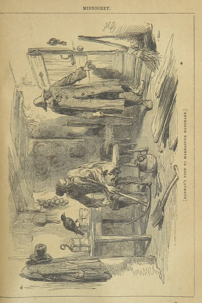 An illustration from Minnigrey. A romance ... Illustrated by Sir John Gilbert, 1897, leaf 359
