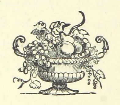 An illustration from Stanley's Wife. A novel, 1879, leaf 30