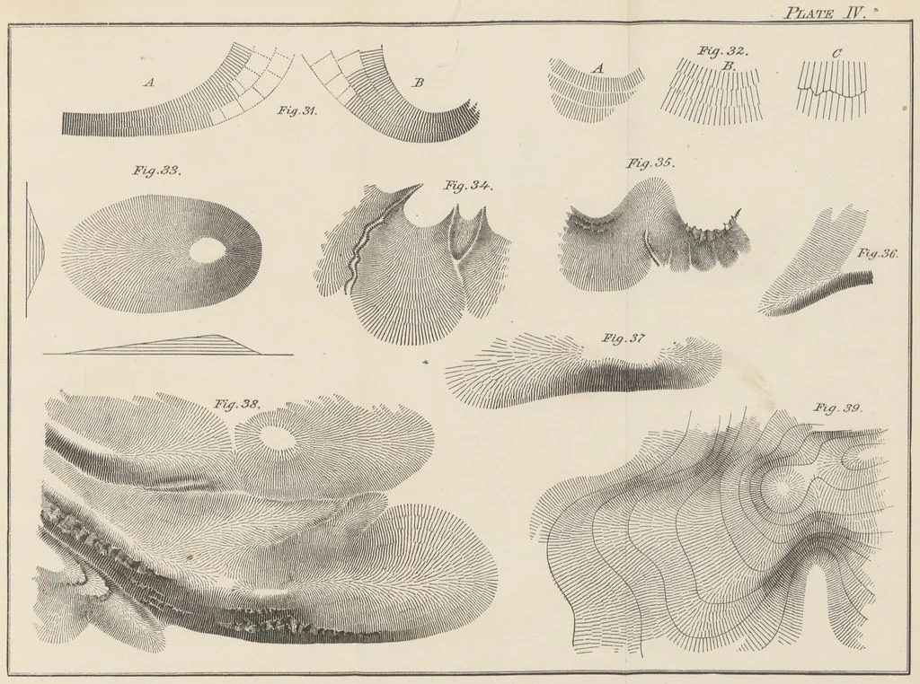An illustration from A Manual of Topographical Drawing ... Enlarged by C. McMillan, 1885, leaf 139