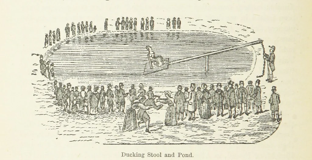 An illustration from The History and Antiquities of Morley, in the West Riding of ... York. With ... illustrations, 1876, leaf 116
