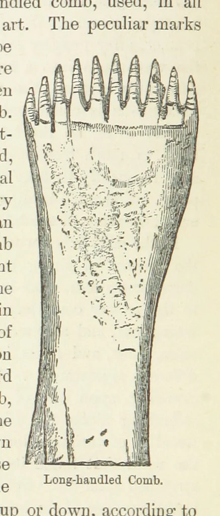 An illustration from The History and Antiquities of Morley, in the West Riding of ... York. With ... illustrations, 1876, leaf 302
