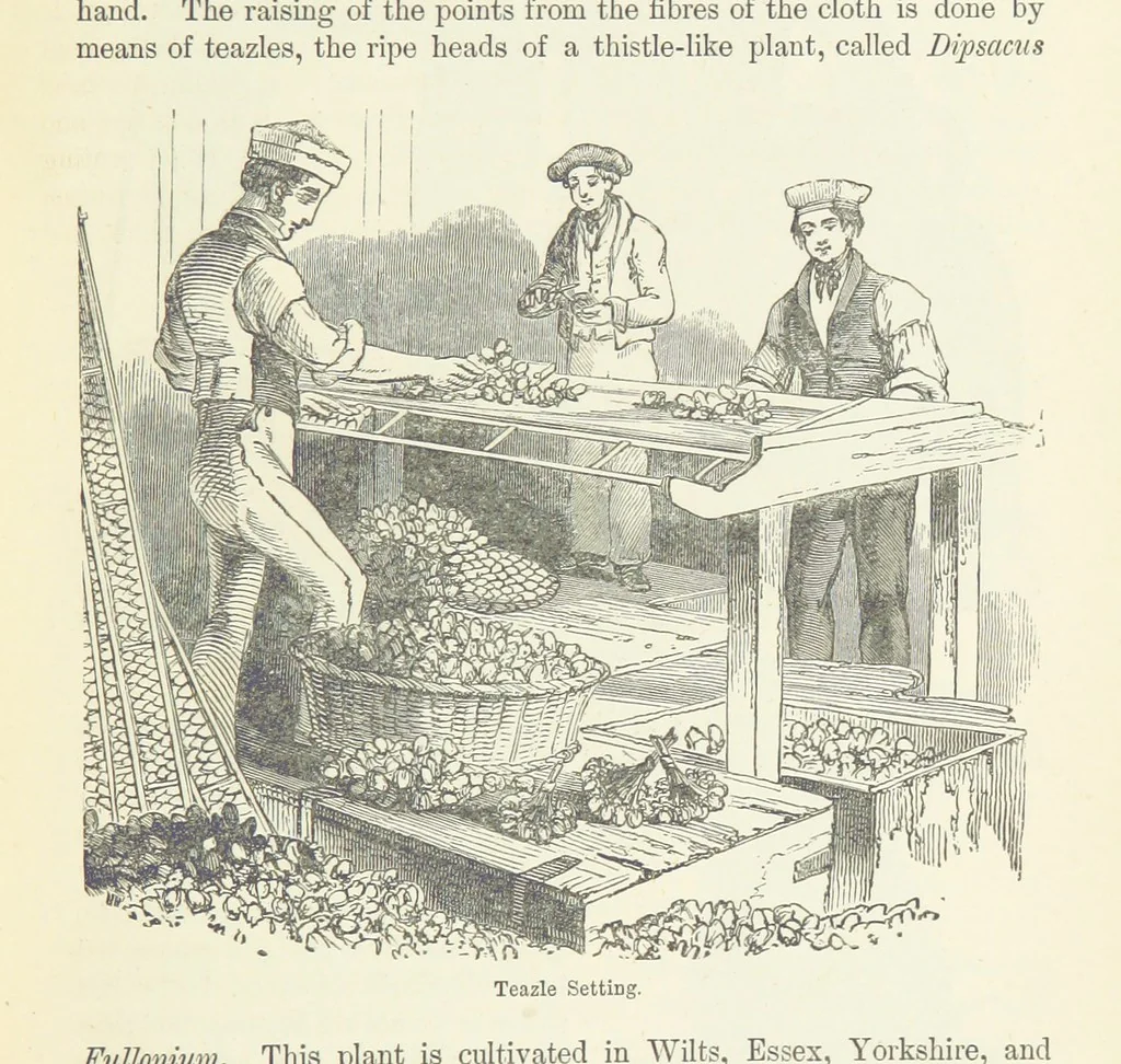 An illustration from The History and Antiquities of Morley, in the West Riding of ... York. With ... illustrations, 1876, leaf 311