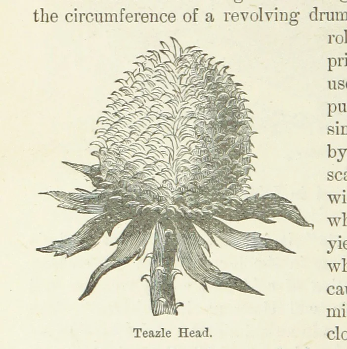 An illustration from The History and Antiquities of Morley, in the West Riding of ... York. With ... illustrations, 1876, leaf 312