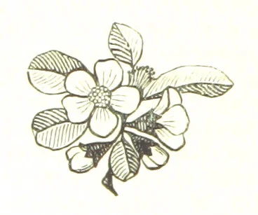 An illustration from His Great Experiment, 1889, leaf 18