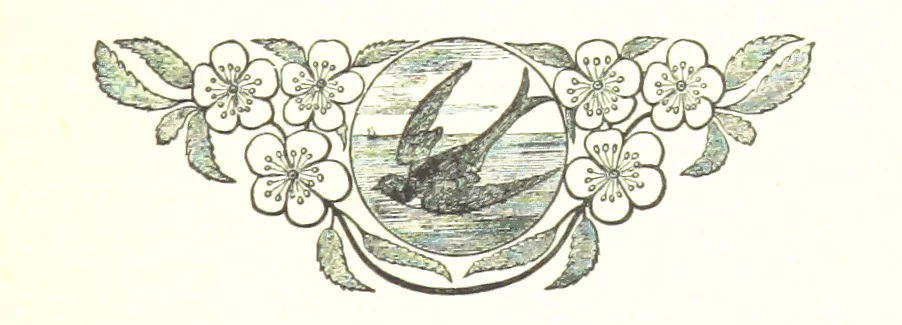 An illustration from His Great Experiment, 1889, leaf 201