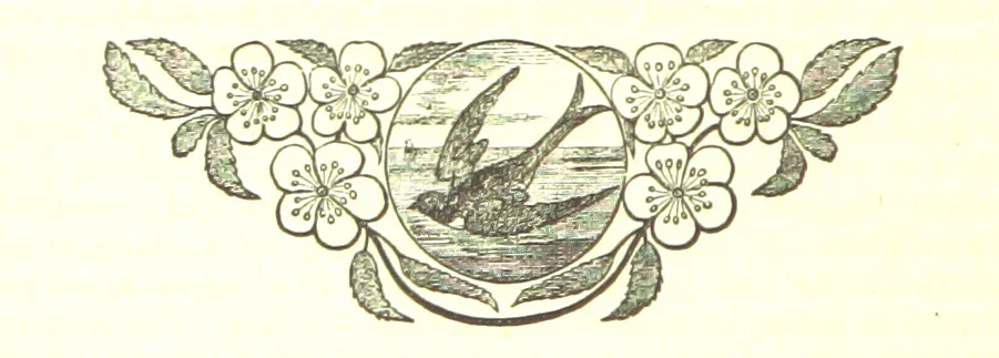 An illustration from His Great Experiment, 1889, leaf 278