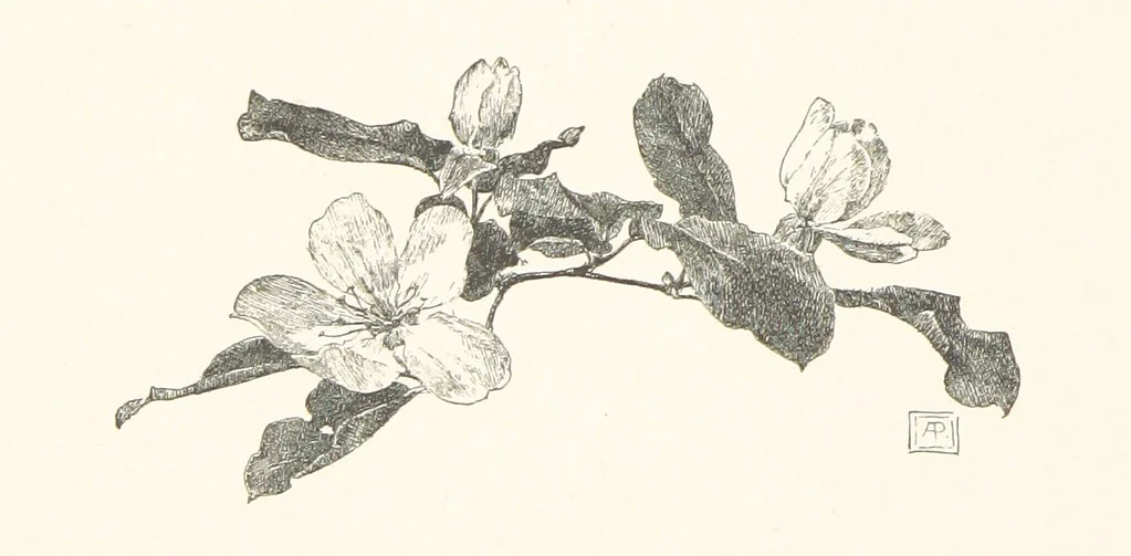 An illustration from Old Songs. With drawings by E. A. Abbey and Alfred Parsons, 1889, leaf 102