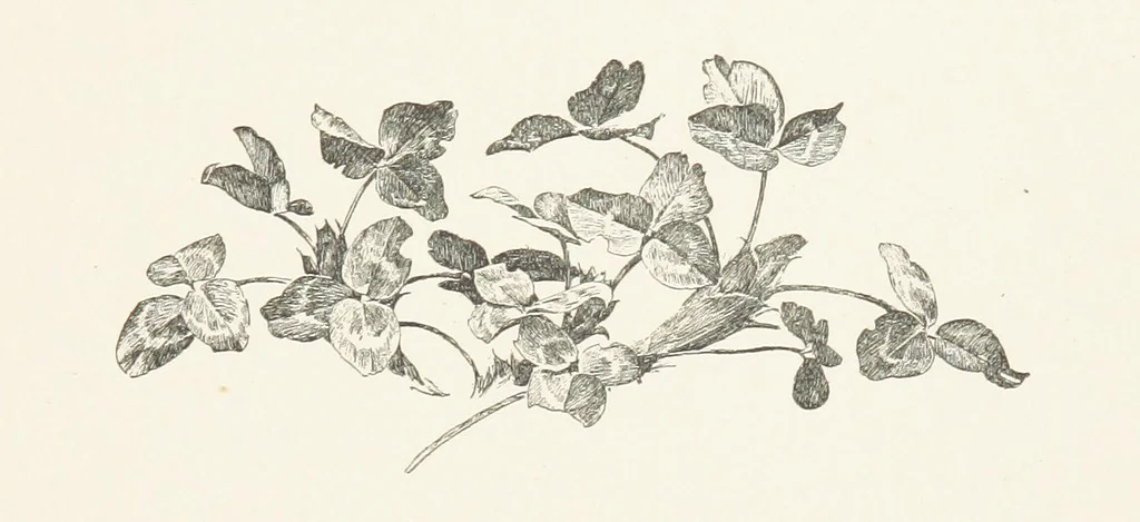 An illustration from Old Songs. With drawings by E. A. Abbey and Alfred Parsons, 1889, leaf 103