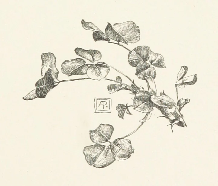 An illustration from Old Songs. With drawings by E. A. Abbey and Alfred Parsons, 1889, leaf 103