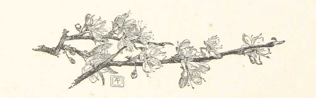 An illustration from Old Songs. With drawings by E. A. Abbey and Alfred Parsons, 1889, leaf 114