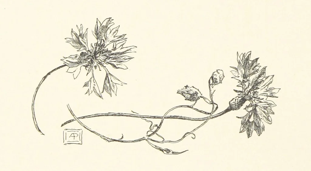 An illustration from Old Songs. With drawings by E. A. Abbey and Alfred Parsons, 1889, leaf 120