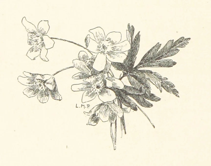 An illustration from Old Songs. With drawings by E. A. Abbey and Alfred Parsons, 1889, leaf 124