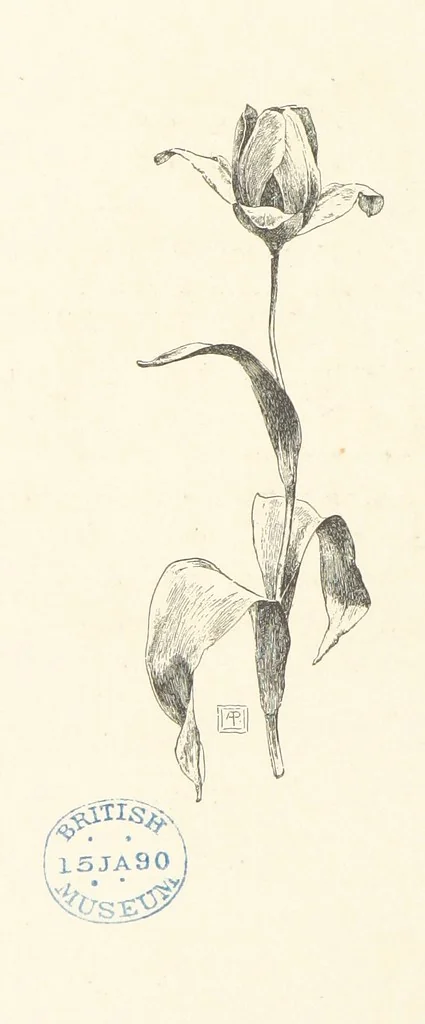 An illustration from Old Songs. With drawings by E. A. Abbey and Alfred Parsons, 1889, leaf 126