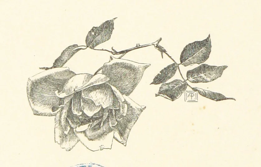 An illustration from Old Songs. With drawings by E. A. Abbey and Alfred Parsons, 1889, leaf 136