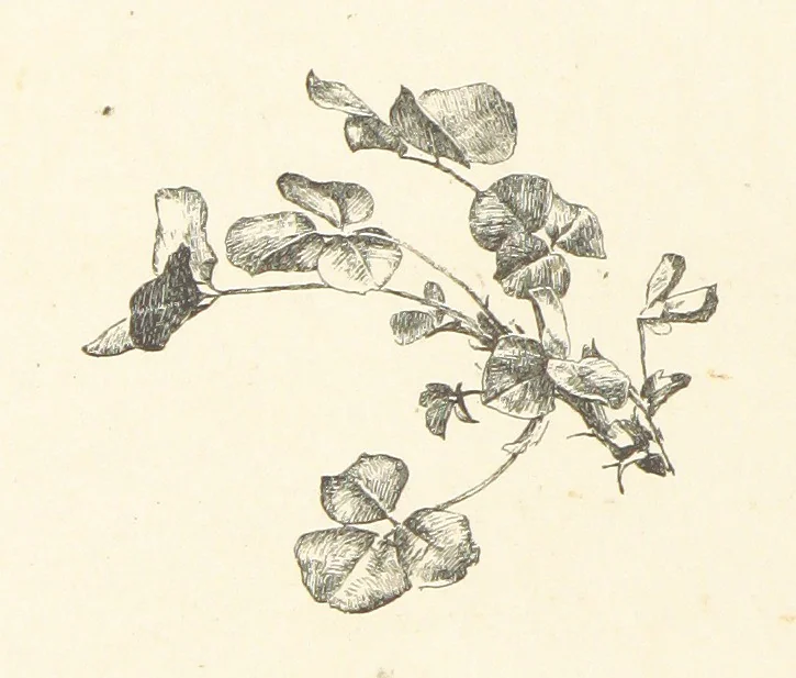 An illustration from Old Songs. With drawings by E. A. Abbey and Alfred Parsons, 1889, leaf 14